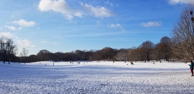 People and pets enjoying snow in a park